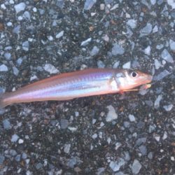 ちょい投げなど