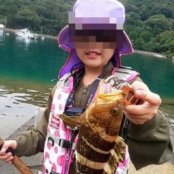 イカじゃなくてイルカ・・・