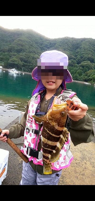 イカじゃなくてイルカ・・・