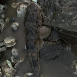 連休で人ばかり。釣れない!