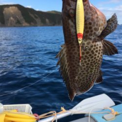 久しぶりの熊野沖でボート釣行