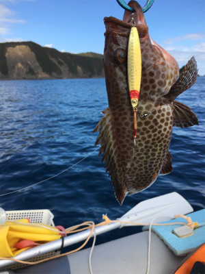 久しぶりの熊野沖でボート釣行