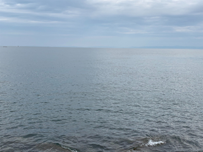 ショアジギング