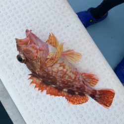 和田港啓福丸さんにて