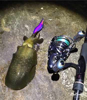 サーフエギング