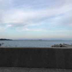 人が多くて賑やか