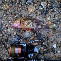 アタリはあるけど