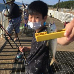 ちょっと難しいサビキ釣り