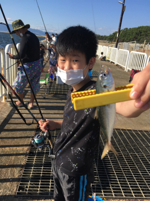 ちょっと難しいサビキ釣り