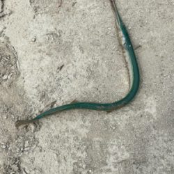 初めてのポイント