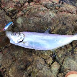 久しぶりにつれた！