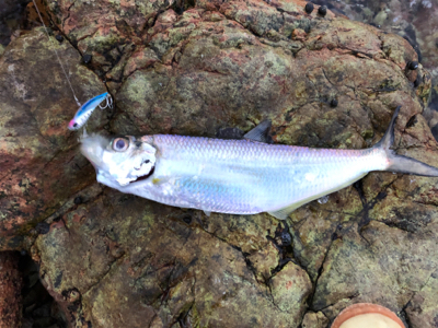 久しぶりにつれた！