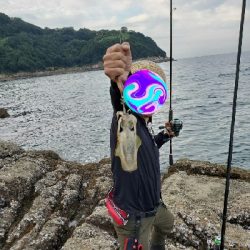 ふかせ釣り&エギング