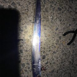 アオリイカ狙い