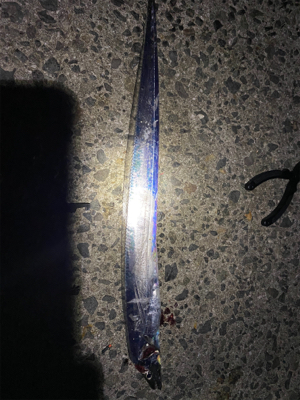 アオリイカ狙い