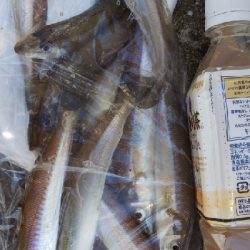 苅屋海岸のキス釣り