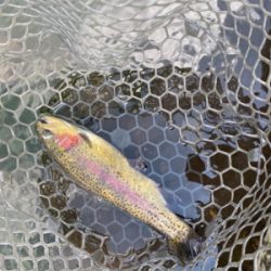 川場キングダムフィッシング