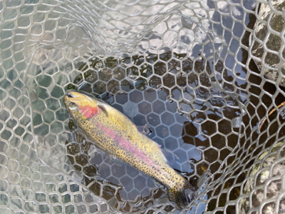 川場キングダムフィッシング