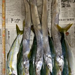 ショアジギング