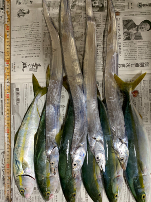 ショアジギング