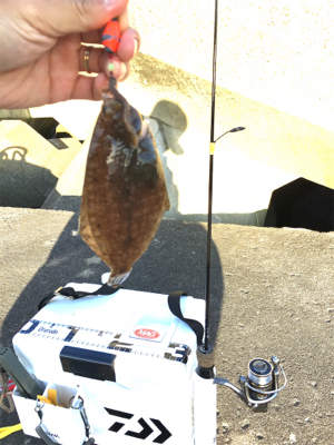 イソメ消化に穴釣り