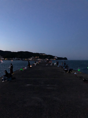 アジはいるが、、？