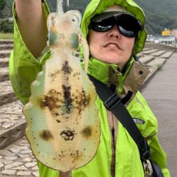 初アオリイカ‼︎