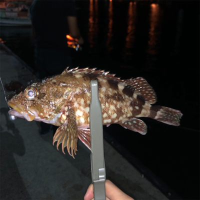 まったりライトゲーム