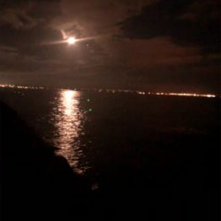 今季　初お目見え