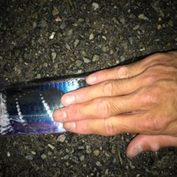 タチウオ&サゴシ！2020ライトゲーム第27戦