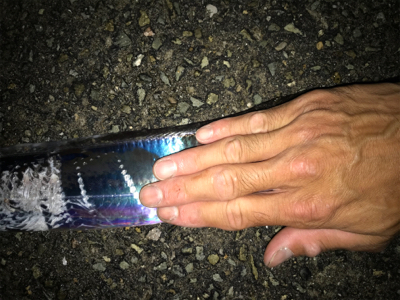 タチウオ&サゴシ！2020ライトゲーム第27戦