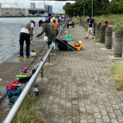 太刀魚釣り、サビキ釣り、投げ釣り