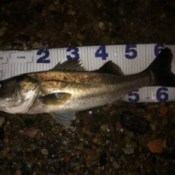 ワンチャンス！