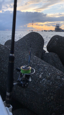 最後にドラゴン来たか〜？