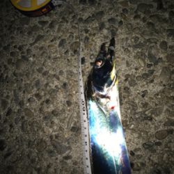 タチウオ釣り