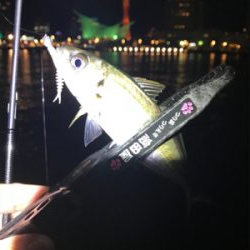 ワイワイアジング