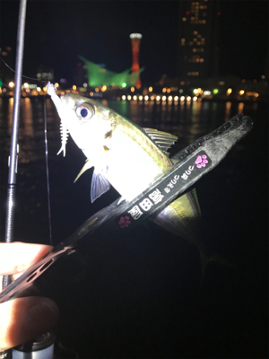 ワイワイアジング