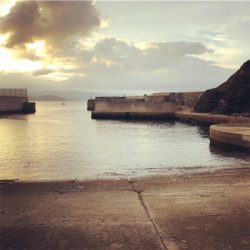 めっちゃ久々のアオリ釣果！