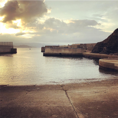 めっちゃ久々のアオリ釣果！