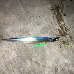 先日に引き続き