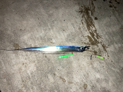 先日に引き続き