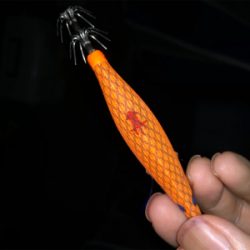 ライトタックルでサイトエギング！