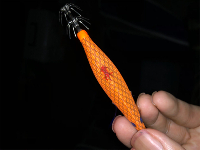 ライトタックルでサイトエギング！