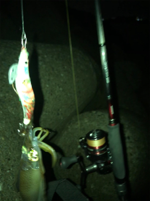 イカ釣れたけど…サイズがσ(^_^;)