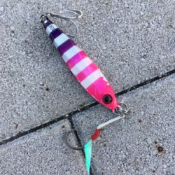 ジグで太刀魚1本