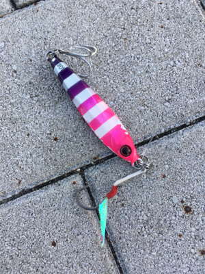 ジグで太刀魚1本