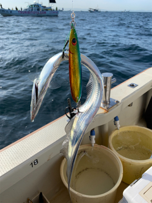 須磨沖タチウオジギング