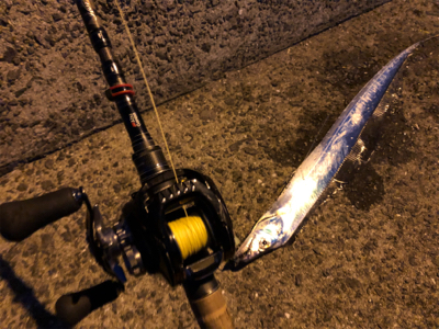 ベイトタックルでタチウオ