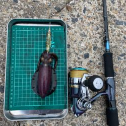 エギング その5