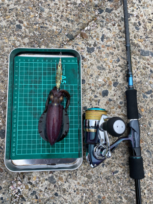 エギング その5